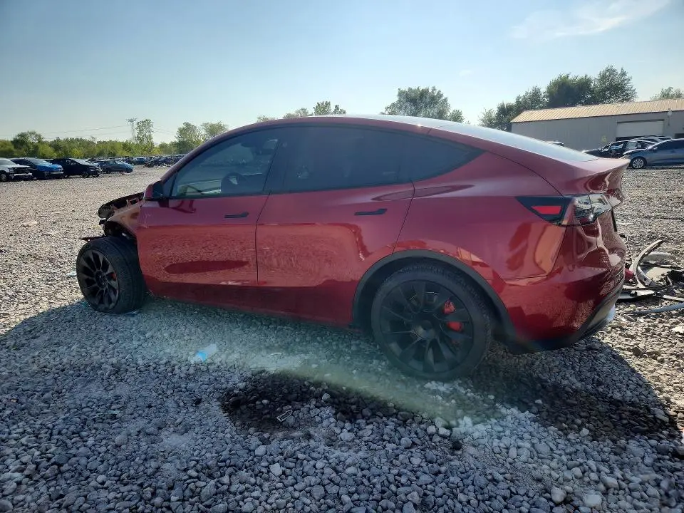 2025 TESLA MODEL Y   