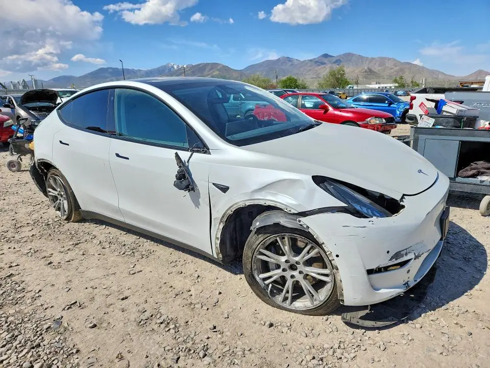 2021 TESLA MODEL Y   