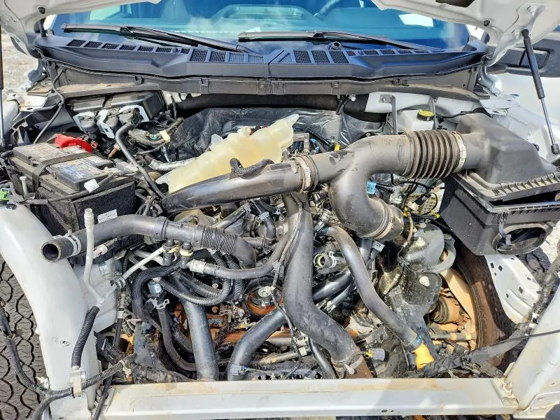 2025 FORD F150 STX  