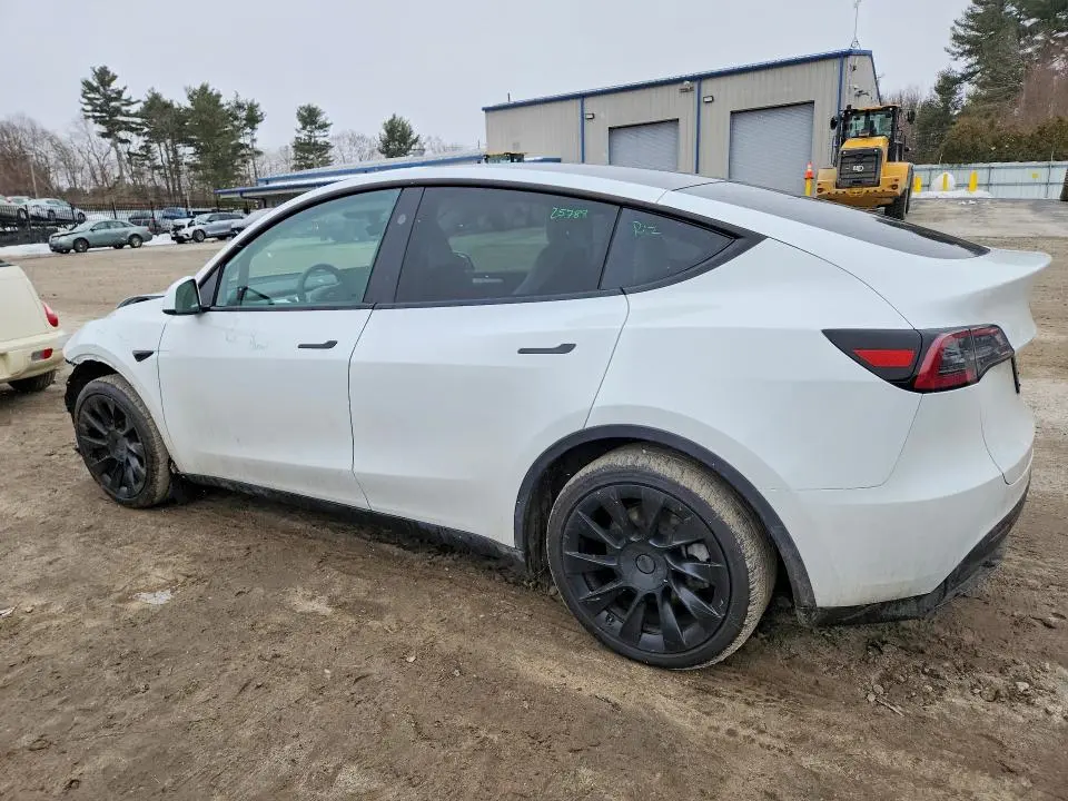 2025 TESLA MODEL Y   