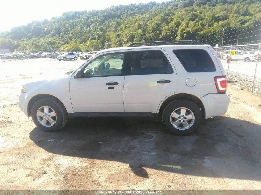 2011 FORD ESCAPE XLT