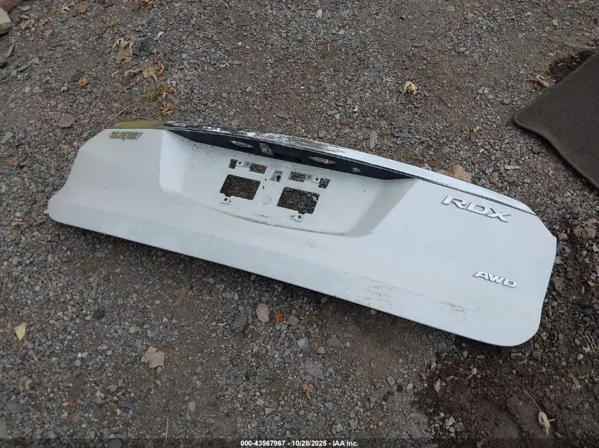 2017 ACURA RDX TECHNOLOGY   ACURAWATCH PLUS PACKAGES/W/TECHNOLOGY PACKAGE