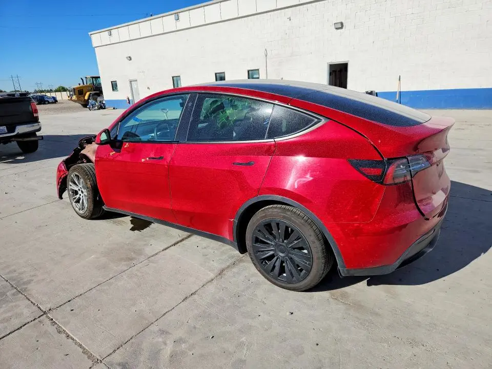 2021 TESLA MODEL Y   