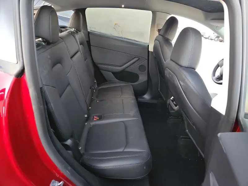 2025 TESLA MODEL Y   