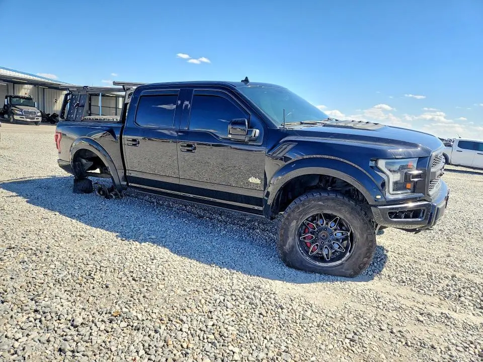 2019 FORD F150 RAPTOR  
