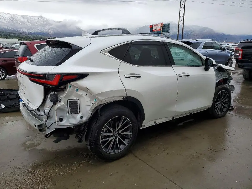 2024 LEXUS NX 350H PREMIUM  