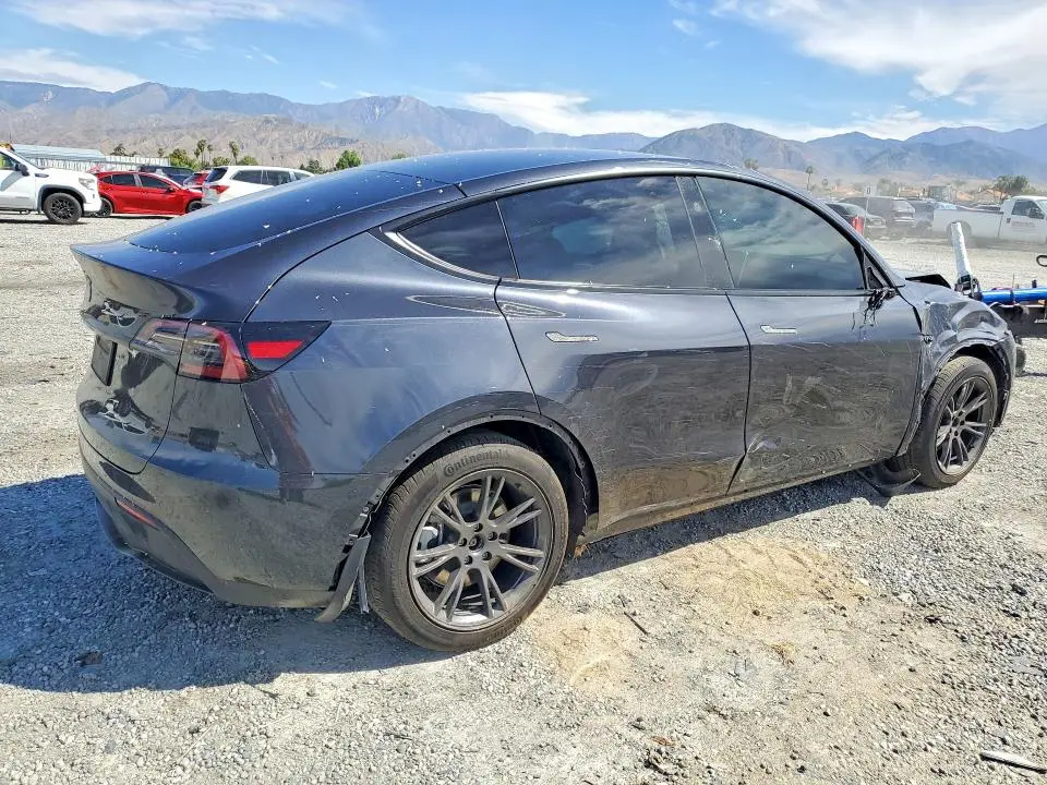 2025 TESLA MODEL Y   