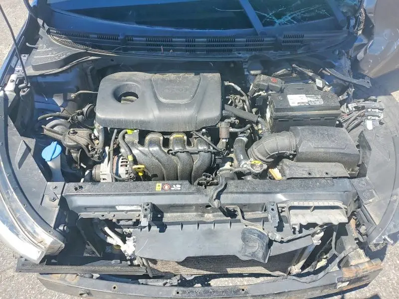 2019 KIA RIO S  