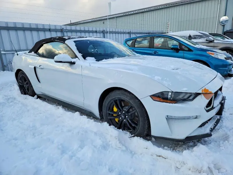2019 FORD MUSTANG GT  