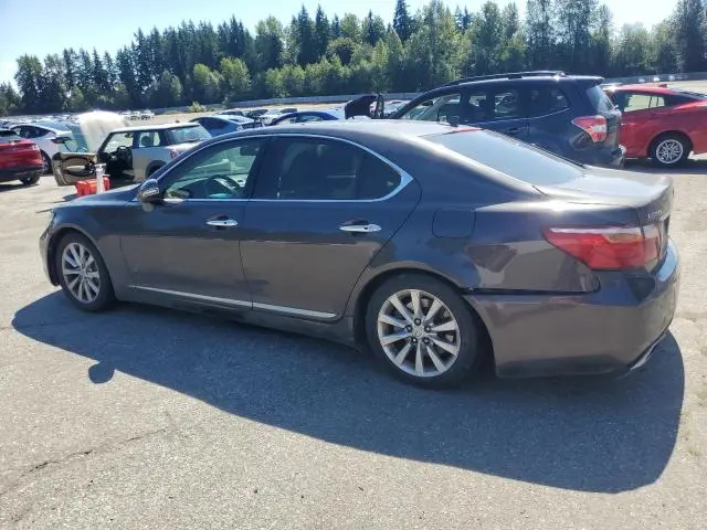 2010 LEXUS LS 460  