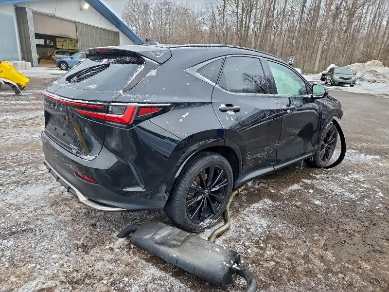2024 LEXUS NX 350 LUXURY  
