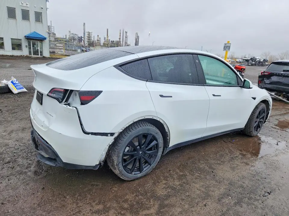 2021 TESLA MODEL Y   