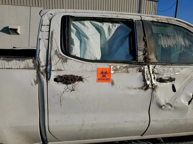 2021 CHEVROLET SILVERADO K1500 LT TRAIL BOSS  