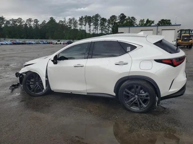 2024 LEXUS NX 450H LUXURY  
