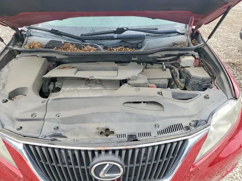 2010 LEXUS RX 350  