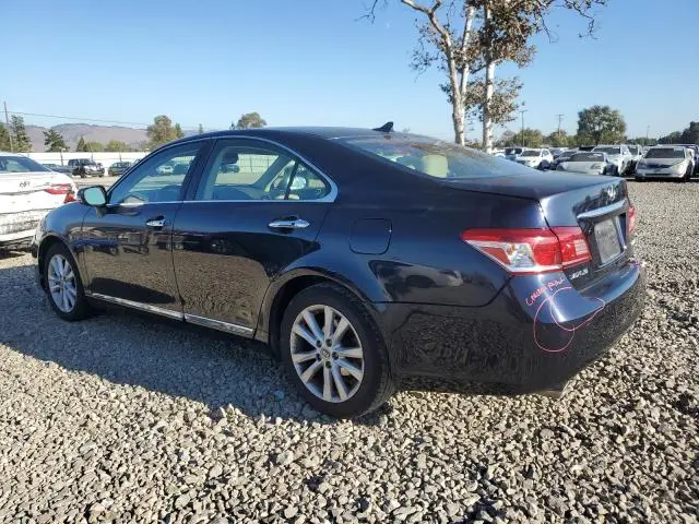 2010 LEXUS ES 350  