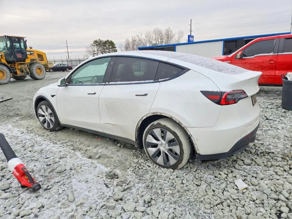 2021 TESLA MODEL Y   
