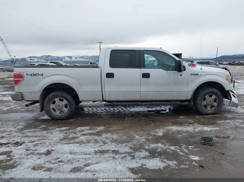 2010 FORD F-150 FX4/HARLEY-DAVIDSON/KING RANCH/LARIAT/PLATINUM/XL/XLT