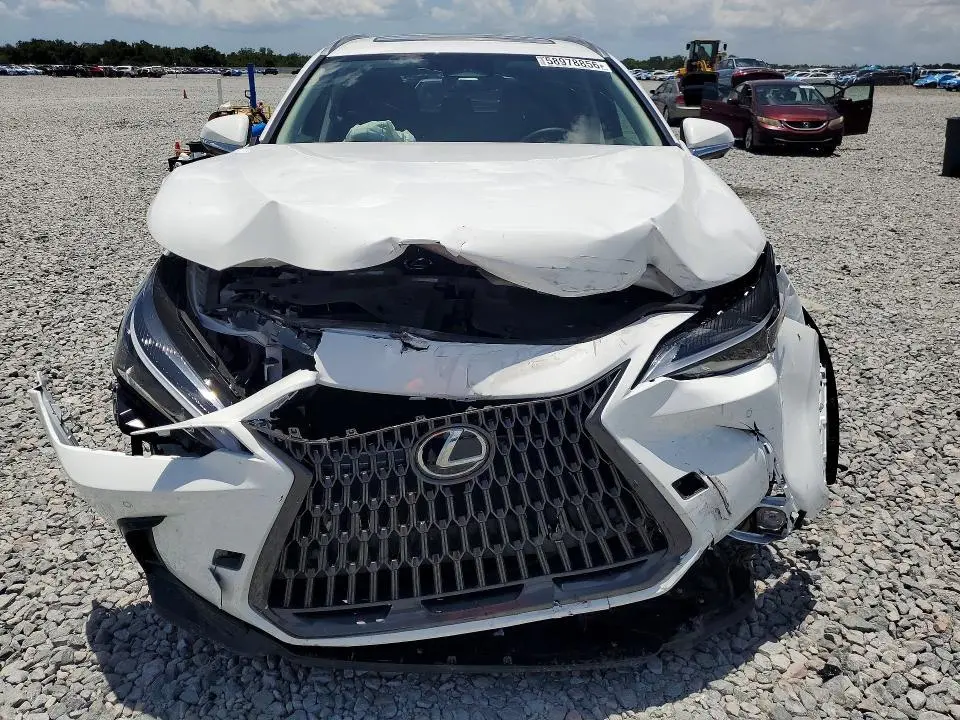 2026 LEXUS NX 350 PREMIUM  