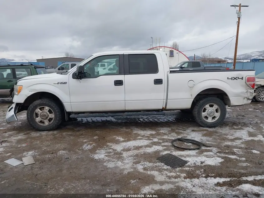 2010 FORD F-150 FX4/HARLEY-DAVIDSON/KING RANCH/LARIAT/PLATINUM/XL/XLT