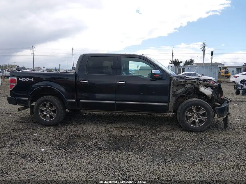 2013 FORD F-150 PLATINUM