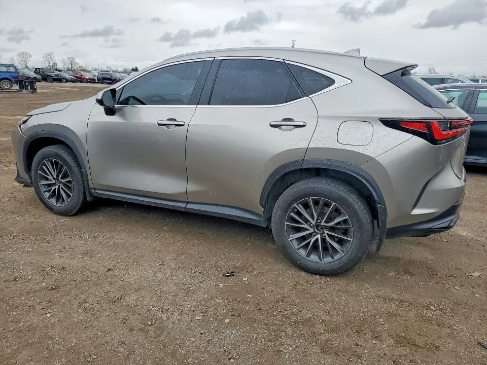 2023 LEXUS NX 250  