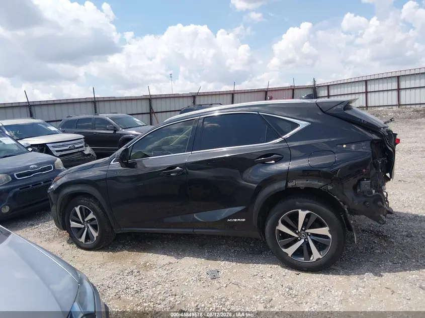 2019 LEXUS NX 300H  