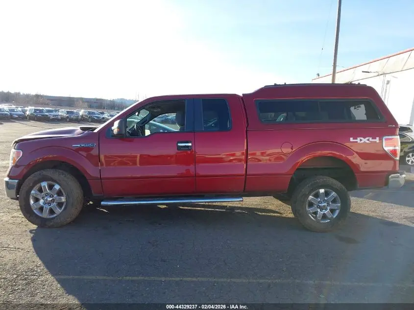 2014 FORD F-150 XLT