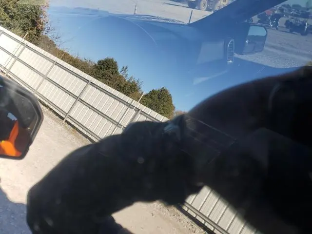 2018 FORD F150 RAPTOR  