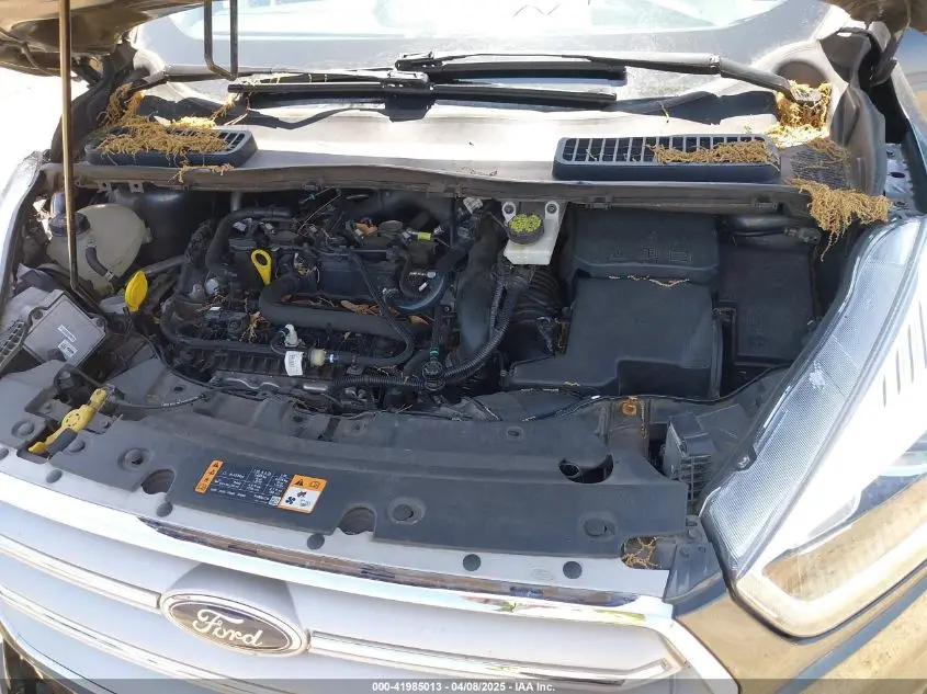 2019 FORD ESCAPE SEL
