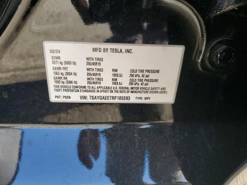 2024 TESLA MODEL Y   