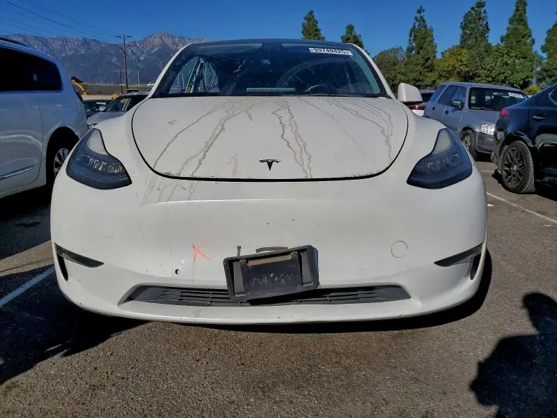 2021 TESLA MODEL Y   