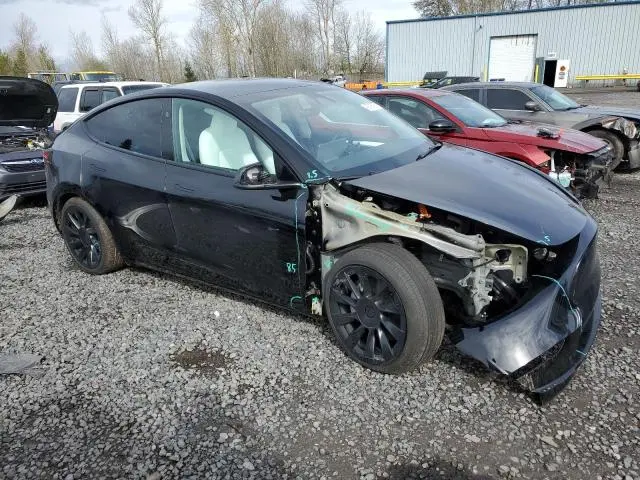 2025 TESLA MODEL Y   