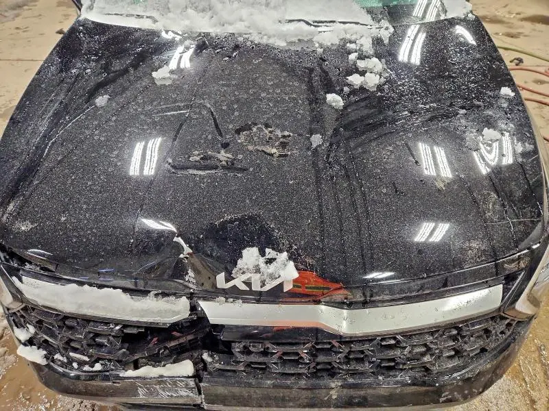 2024 KIA SPORTAGE X-PRO  