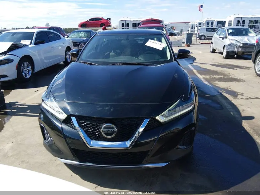 2019 NISSAN MAXIMA 3.5 SV