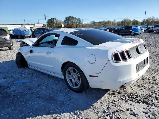 2014 FORD MUSTANG   