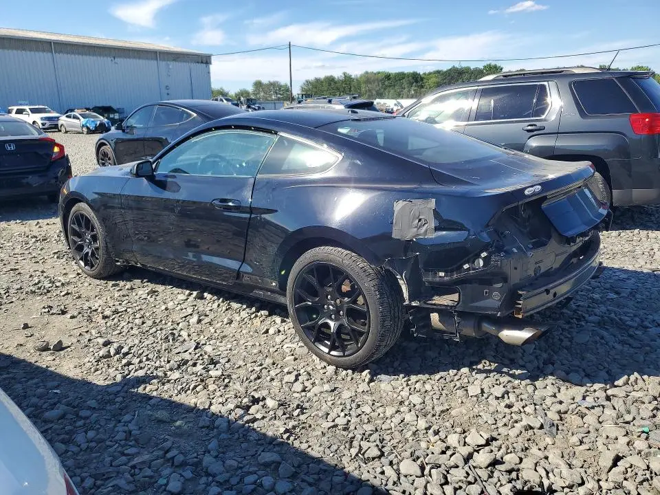 2019 FORD MUSTANG   