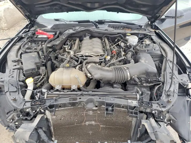 2019 FORD MUSTANG GT  