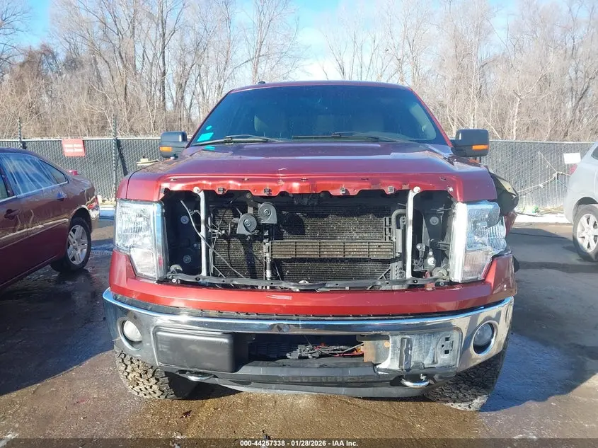 2014 FORD F-150 XLT
