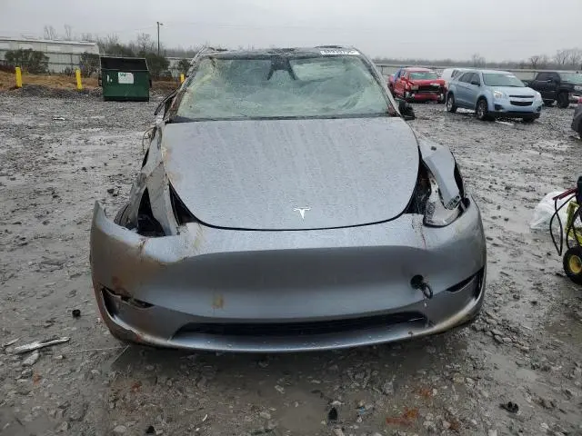 2025 TESLA MODEL Y   