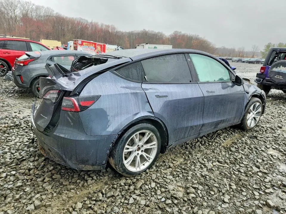 2020 TESLA MODEL Y   