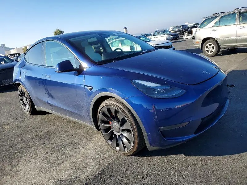 2023 TESLA MODEL Y   