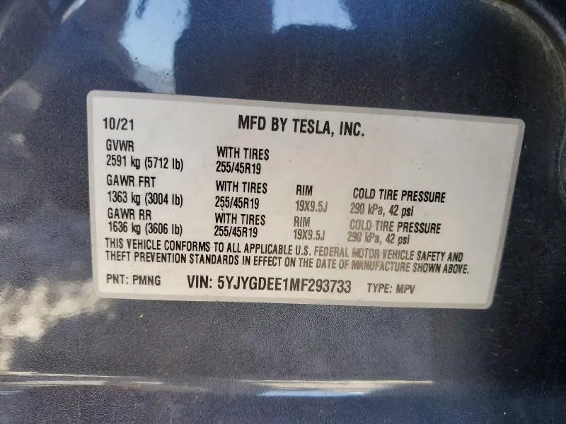 2021 TESLA MODEL Y   