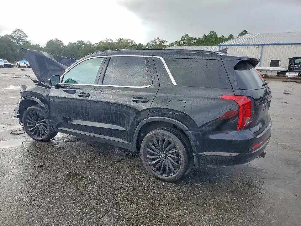 2025 HYUNDAI PALISADE CALLIGRAPHY NIGHT EDITION  