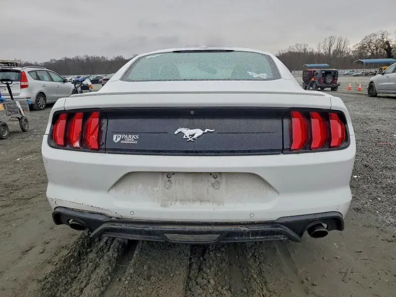 2019 FORD MUSTANG   