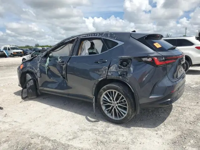 2023 LEXUS NX 350H  