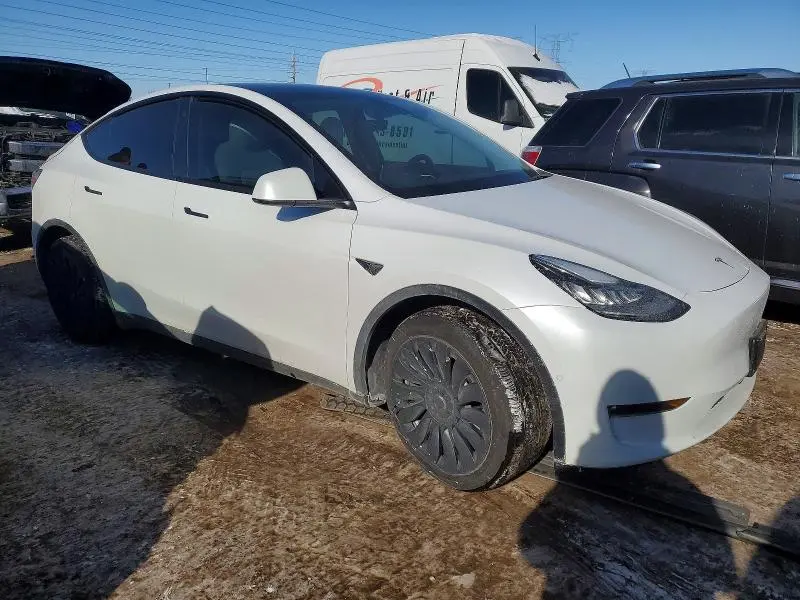 2021 TESLA MODEL Y   
