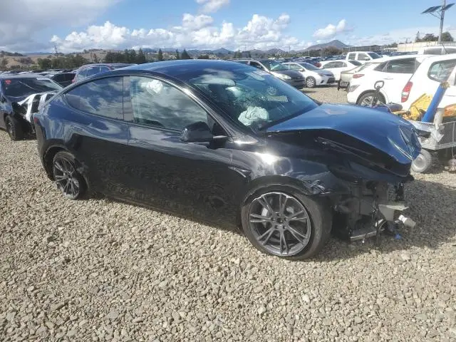 2025 TESLA MODEL Y