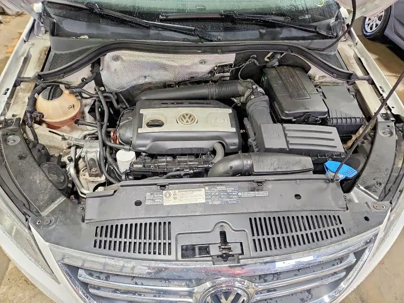 2010 VOLKSWAGEN TIGUAN SE  