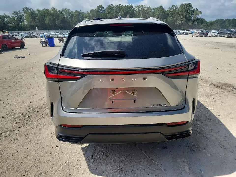 2024 LEXUS NX 250 BASE  